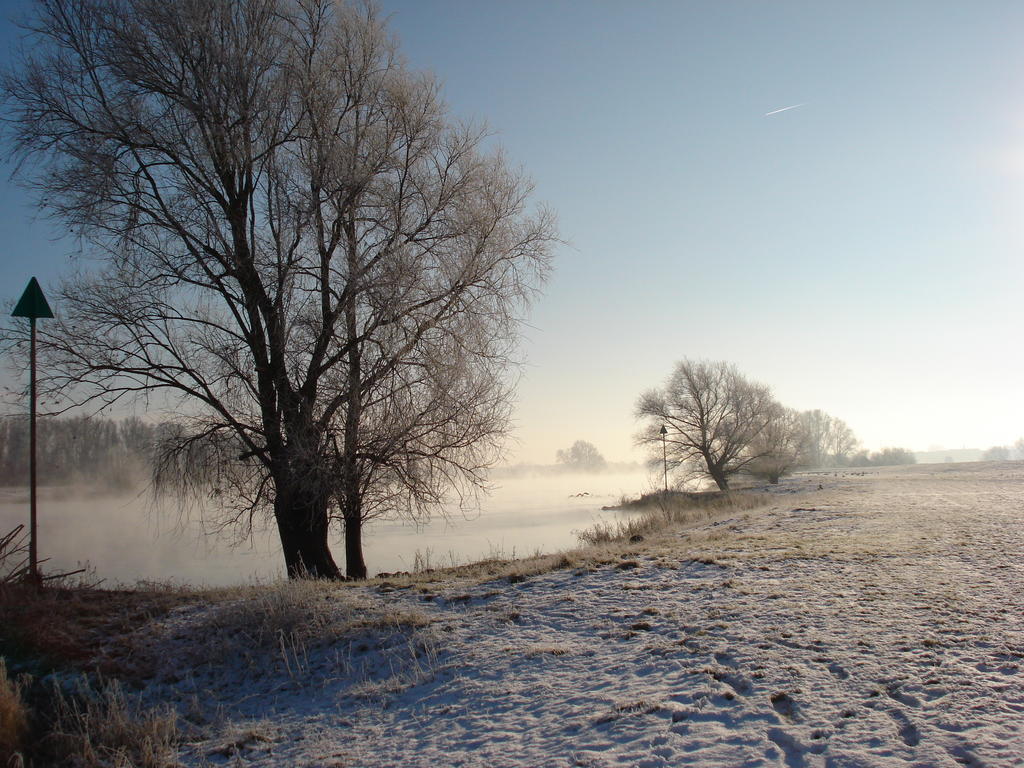 Villa 'T Kruushuus Welsum Esterno foto