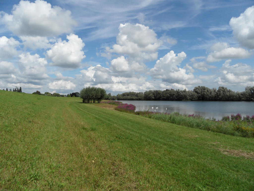 Villa 'T Kruushuus Welsum Esterno foto